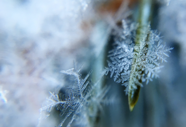 Read more about the article What You Need to Know About De-Icer and Winter Aeration