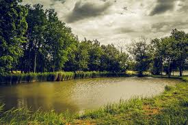 Read more about the article Getting Rid of Lake and Pond Muck