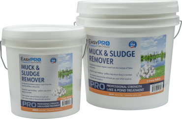 Natural Pond Cleaners and Bacteria