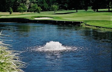 Read more about the article Pond Aeration, a Basic Explanation