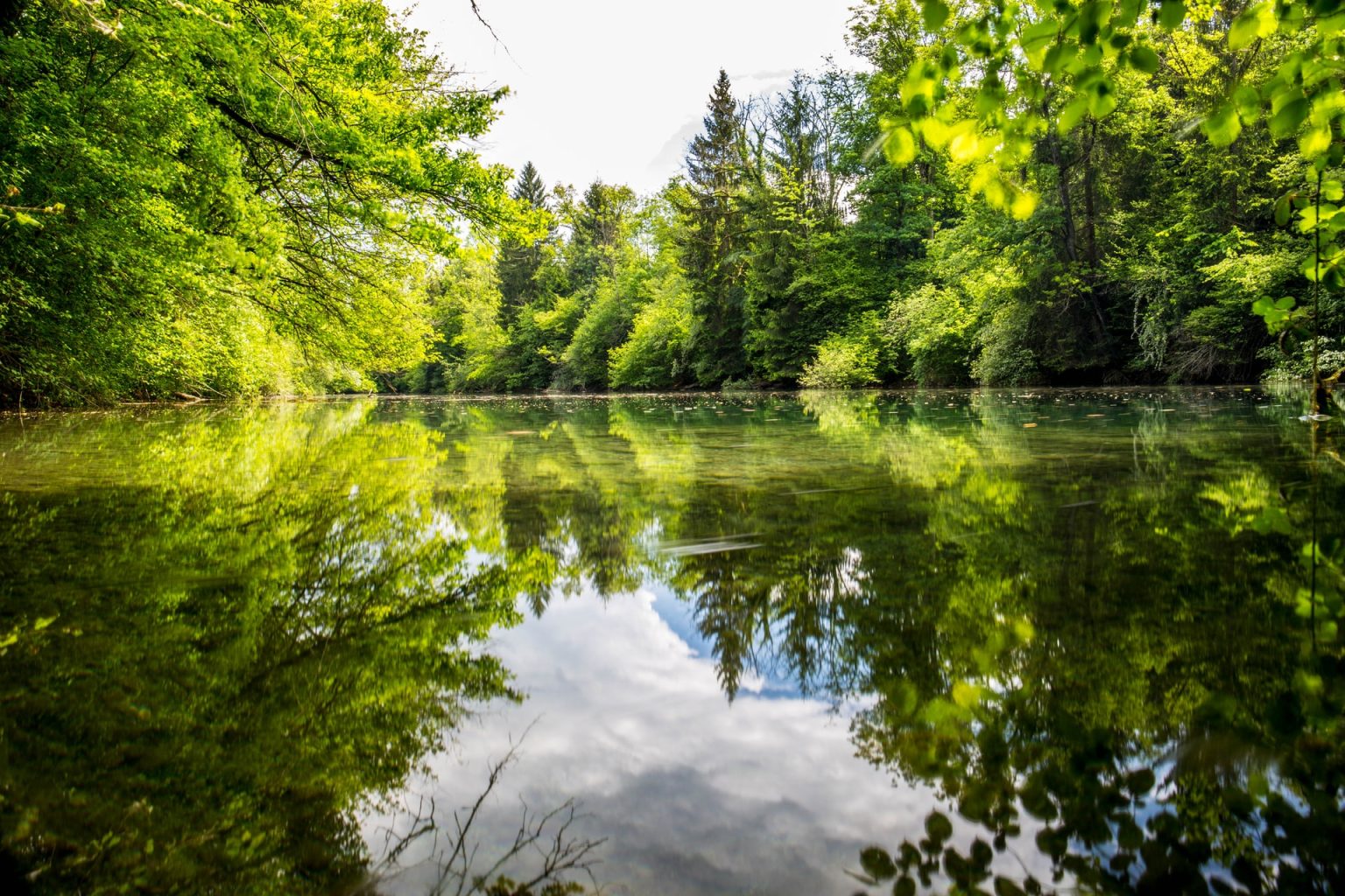 Harrietta Hills - Michigan’s Family Owned Pond Store Near Me