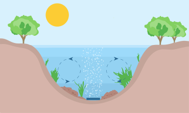 Read more about the article How to Use Aeration for a Cleaner, Clearer Pond
