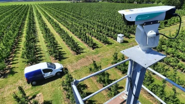 AVIX Autonomic Mark II Laser Bird Deterrent