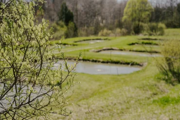 Read more about the article Preparing Your Pond for the Season Ahead