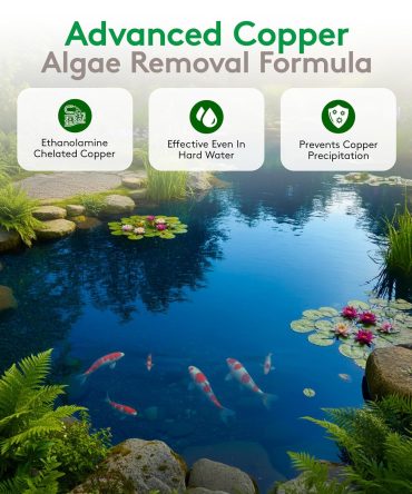Argos Algaecide & Herbicide – 1 Gallon